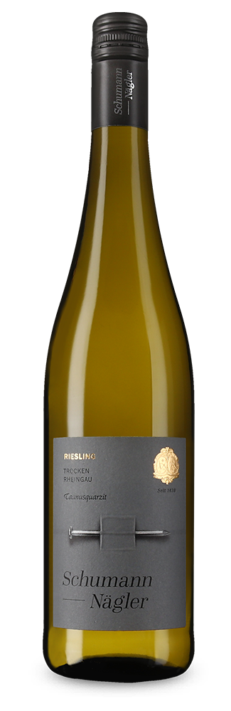 Riesling Taunusquarzit 2024 – Gold