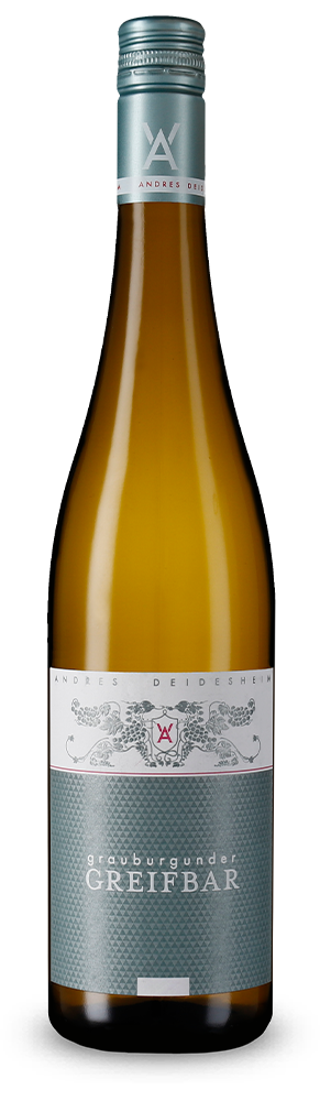 Grauburgunder Greifbar 2024 – Gold