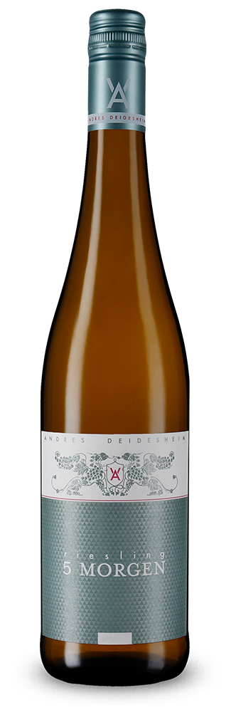 Riesling 5 Morgen 2024 – Gold