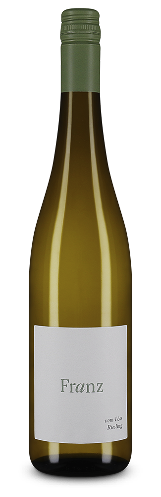 Riesling vom Löss 2024 – Gold