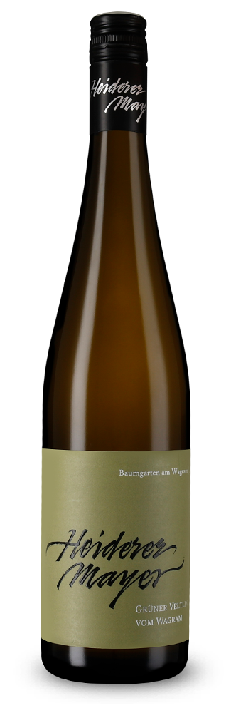 Grüner Veltliner vom Wagram 2024 – Gold