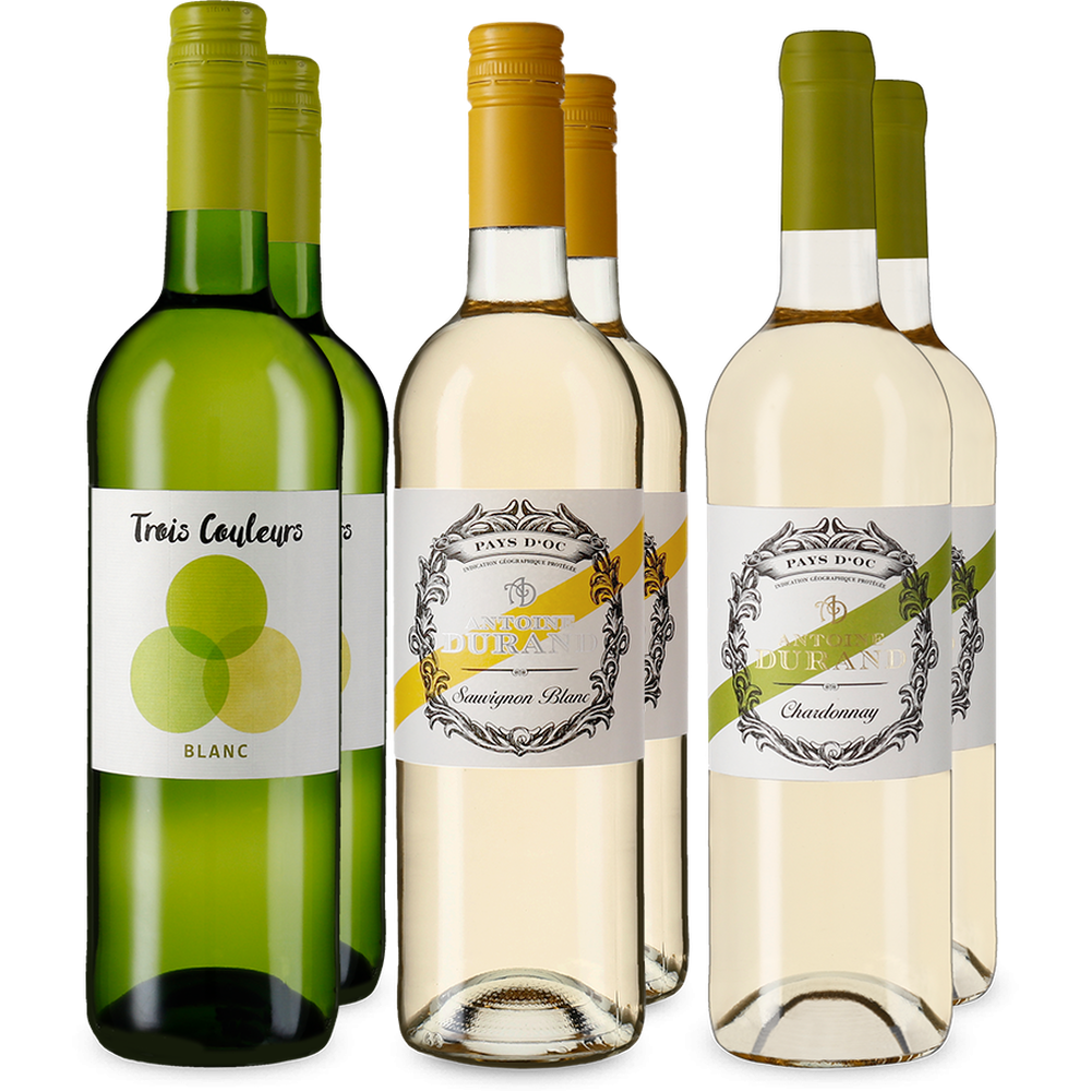 Frankrijk: witte wijn-ontdekkerspakket