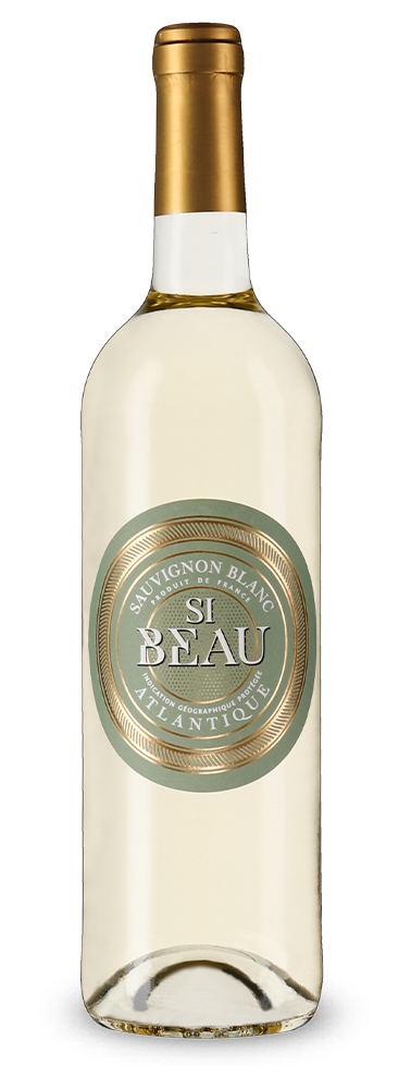 Si Beau Sauvignon Blanc 2022