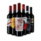 Rode wijnen van het jaar in 6 flessen-proefpakket