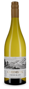 Queensdal Chenin Blanc 2024 – Wijn van het jaar