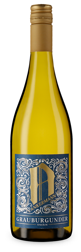 Grauburgunder 2024 – Gold