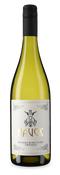 Weisser Burgunder 2024 – Gold