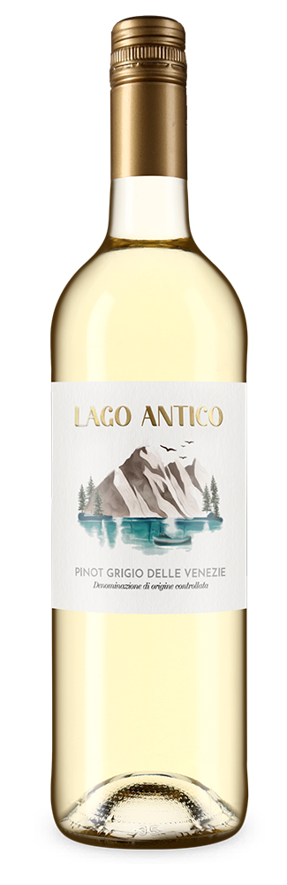 Pinot Grigio delle Venezie 2024