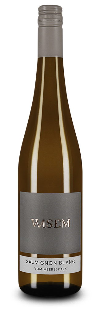 Sauvignon Blanc vom Meereskalk 2024 – Gold