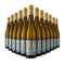 12 flesssen Riesling 2024 – Gold