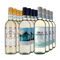 Pinot grigio XXL: met goud bekroonde hits in 3x4-pakket – Gold