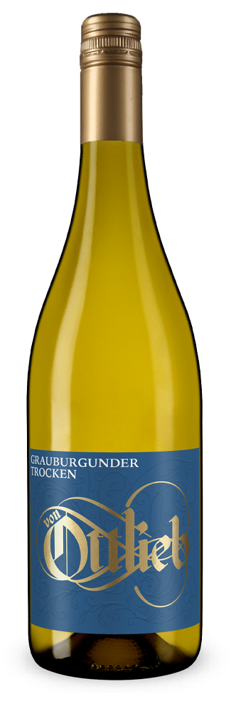 Grauburgunder 2025