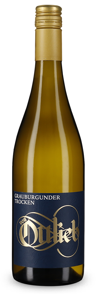 Grauburgunder 2025