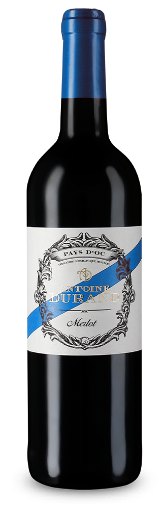 Merlot 2025