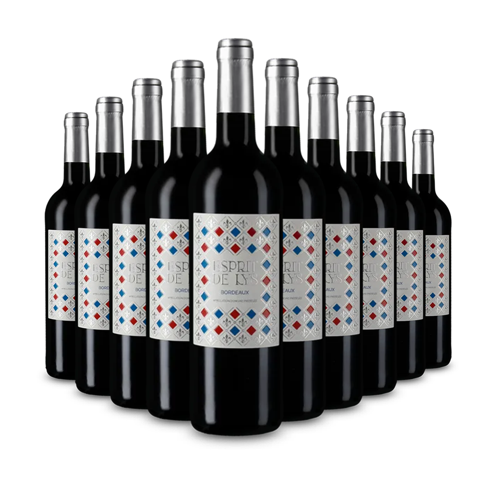 10 flessen Bordeaux 2020