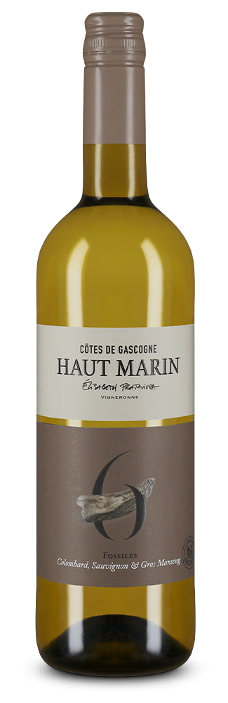 Côtes de Gascogne Blanc N°6 Fossiles 2025