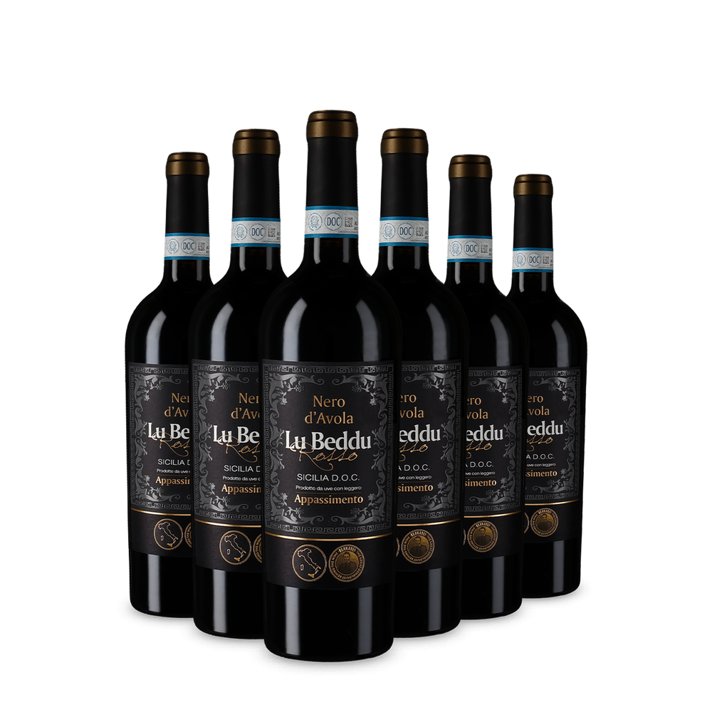 6x Nero d'Avola Sicilia Appassimento 2023