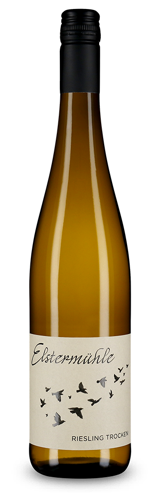 Riesling 2025